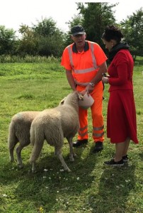 Der stellv. Leiter des gemeindlichen Bauhofs, Wilhelm Johanning, erläutert der Abgeordneten Gitta Connemann das Projekt und die Besonderheiten des Bentheimer Landschafes.