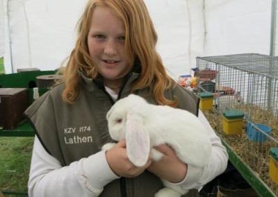 Kaninchenzuchtverein Lathen - Meerschweinchenrennen und Kaninchenausstellung