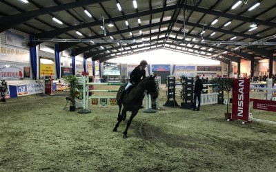 Springpferdefestival in der Johann-Ehrens-Halle in Fresenburg