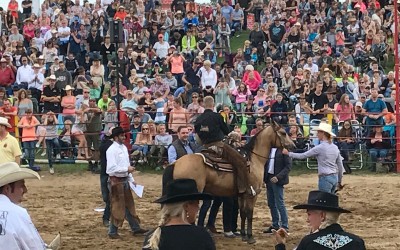 39. Westernfestival in Hilter – ein voller Erfolg