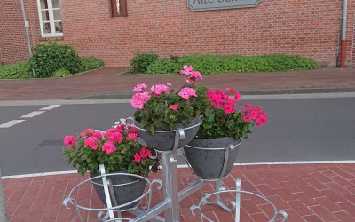 Gemeinde Niederlangen vermisst Blumentöpfe