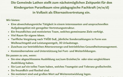 Pädagogische Fachkraft (m/w/d) für den Kindergarten Purzelbaum